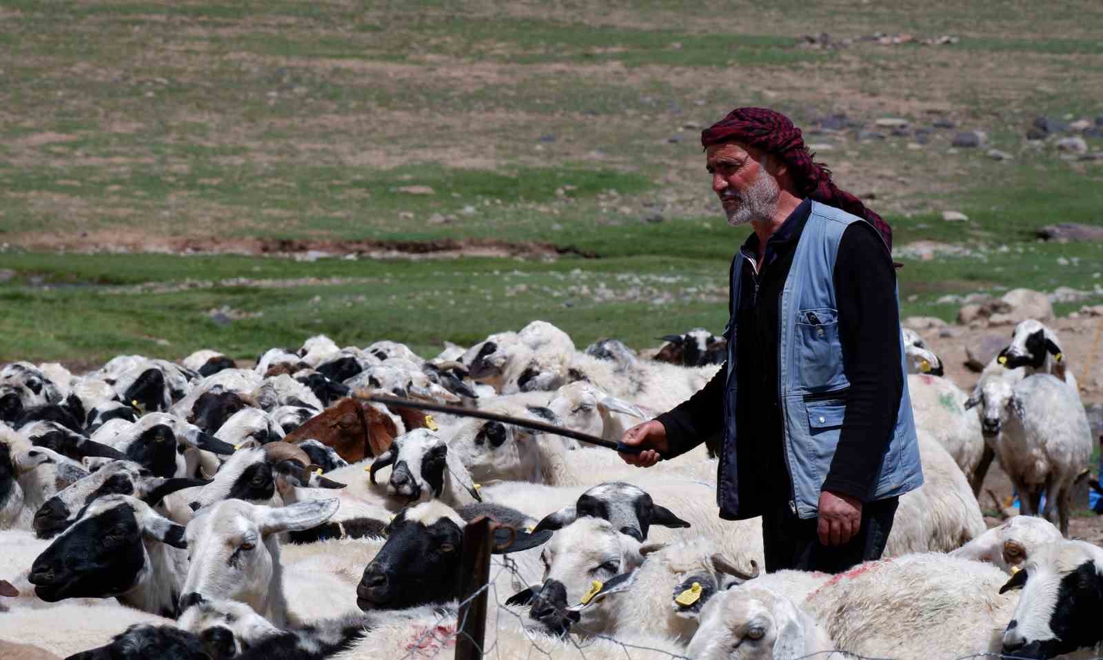 Erzurum’da 3 bin rakımda 3 yüz çadır kurulu
