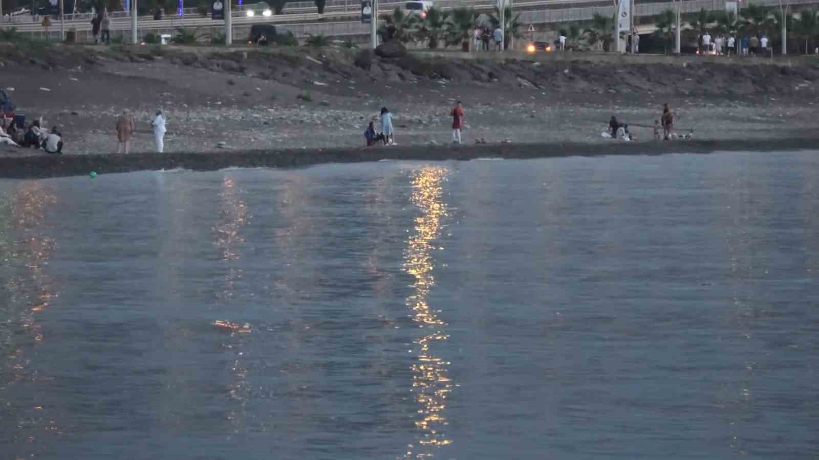 Su samuru Karadeniz’de böyle görüntülendi
