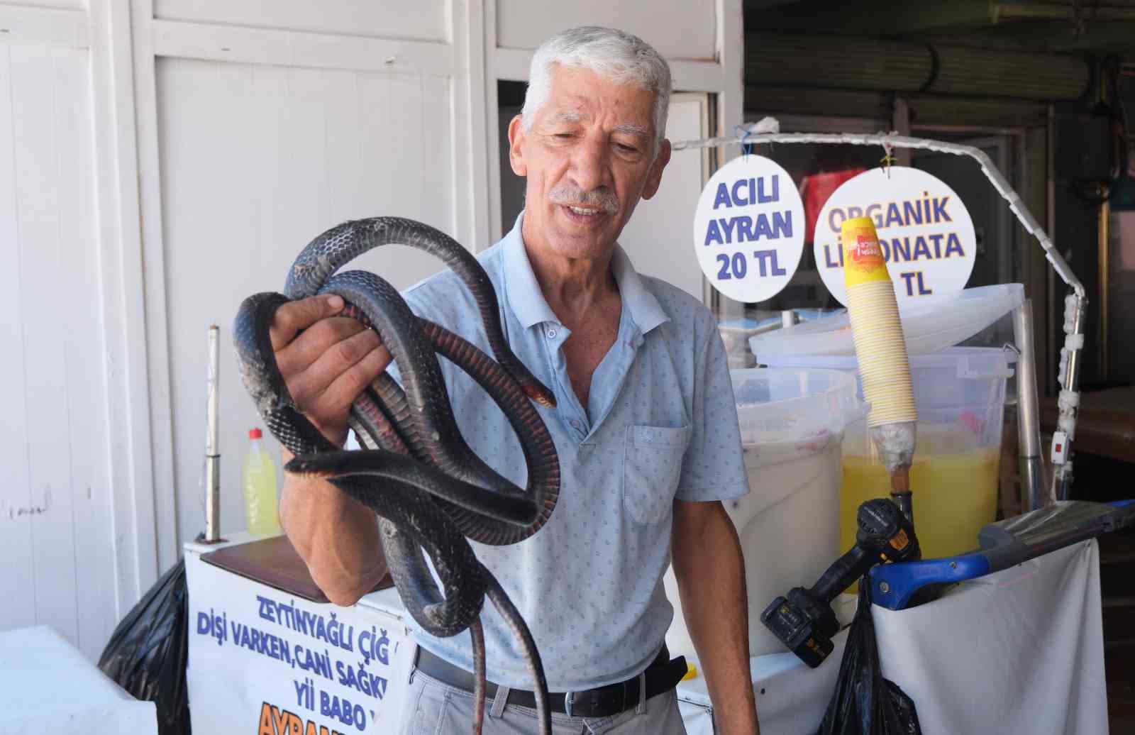 Koynunda beslediği yılanlar böyle ısırdı
