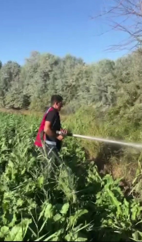 Sulama isteği kabusa döndü, fare yangına neden oldu
