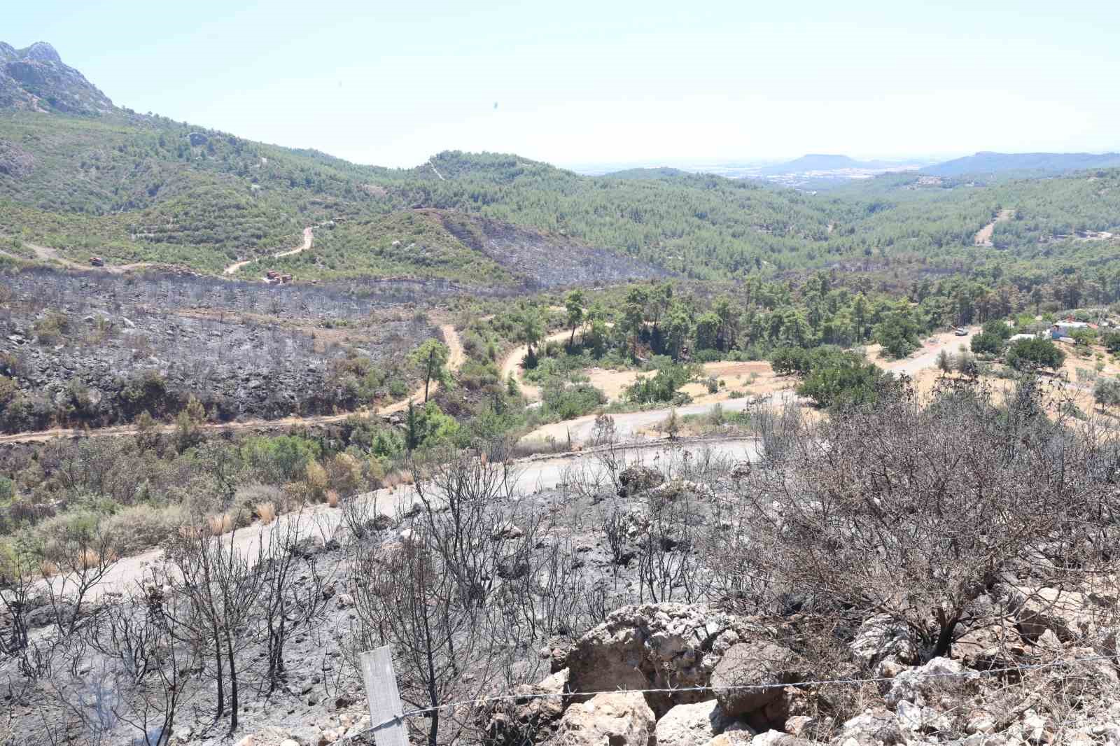 Yumaklar Mahallesi’nde yangın sonrası hasar tespit çalışması yapıldı
