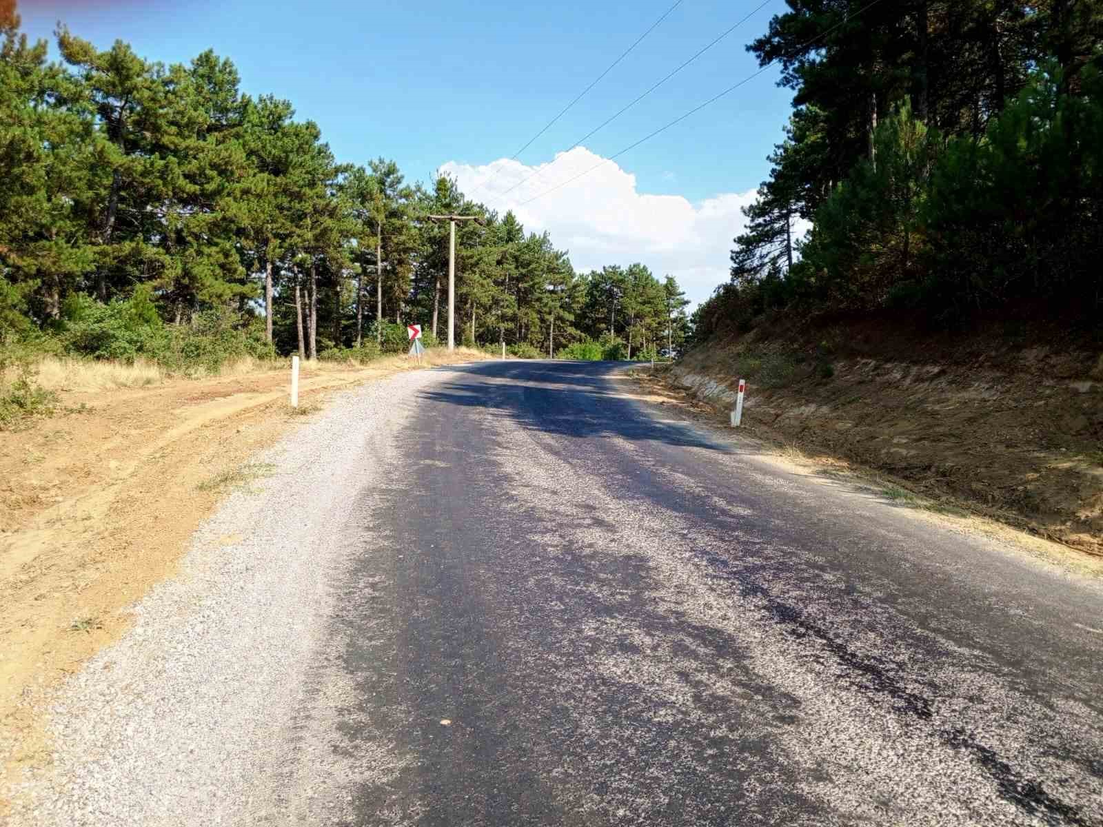 Kütahya’da orman yangınlarına karşı yol kenarları temizleniyor
