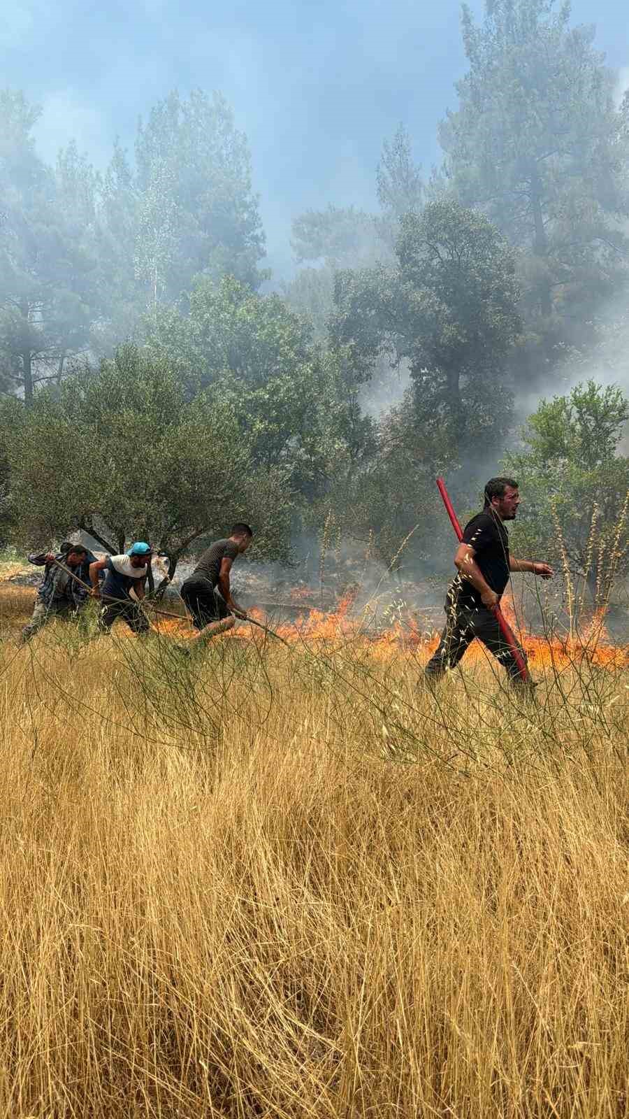 Kuyucak’taki orman yangını kontrol altına alındı
