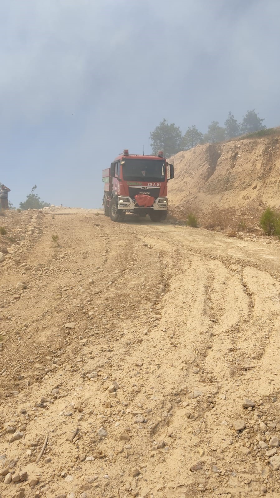 Denizli’de ormanlık alanda çıkan yangına müdahale ediliyor
