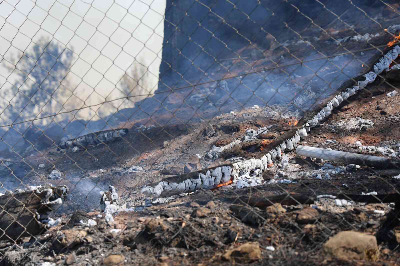 Kahramanmaraş’ta ikamet yangını ormana sıçradı
