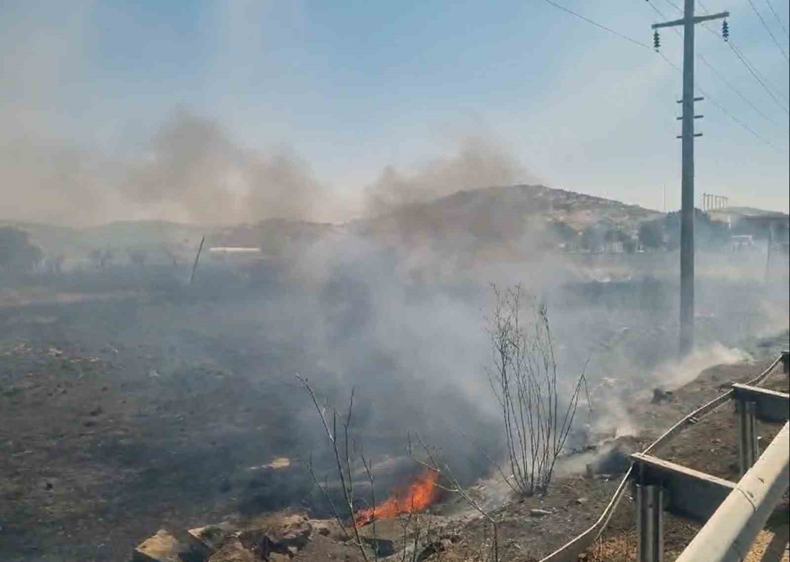 Milas Boğaziçi Mahallesinde otluk yangını
