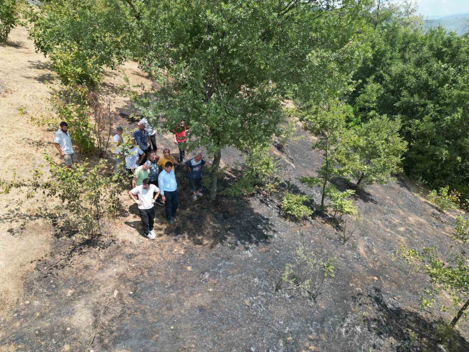 Sakarya’da çıkan orman yangını havadan görüntülendi
