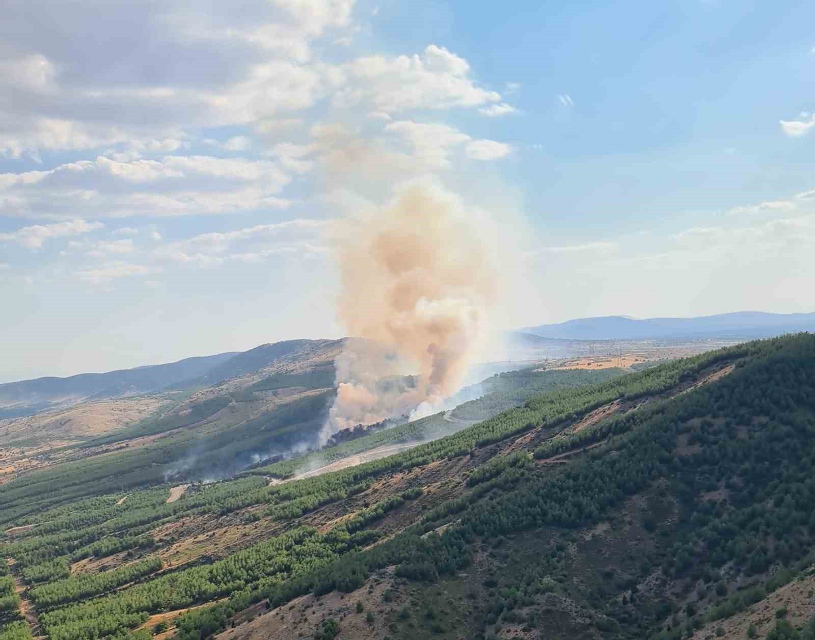 Çivril’in ciğerleri yanıyor
