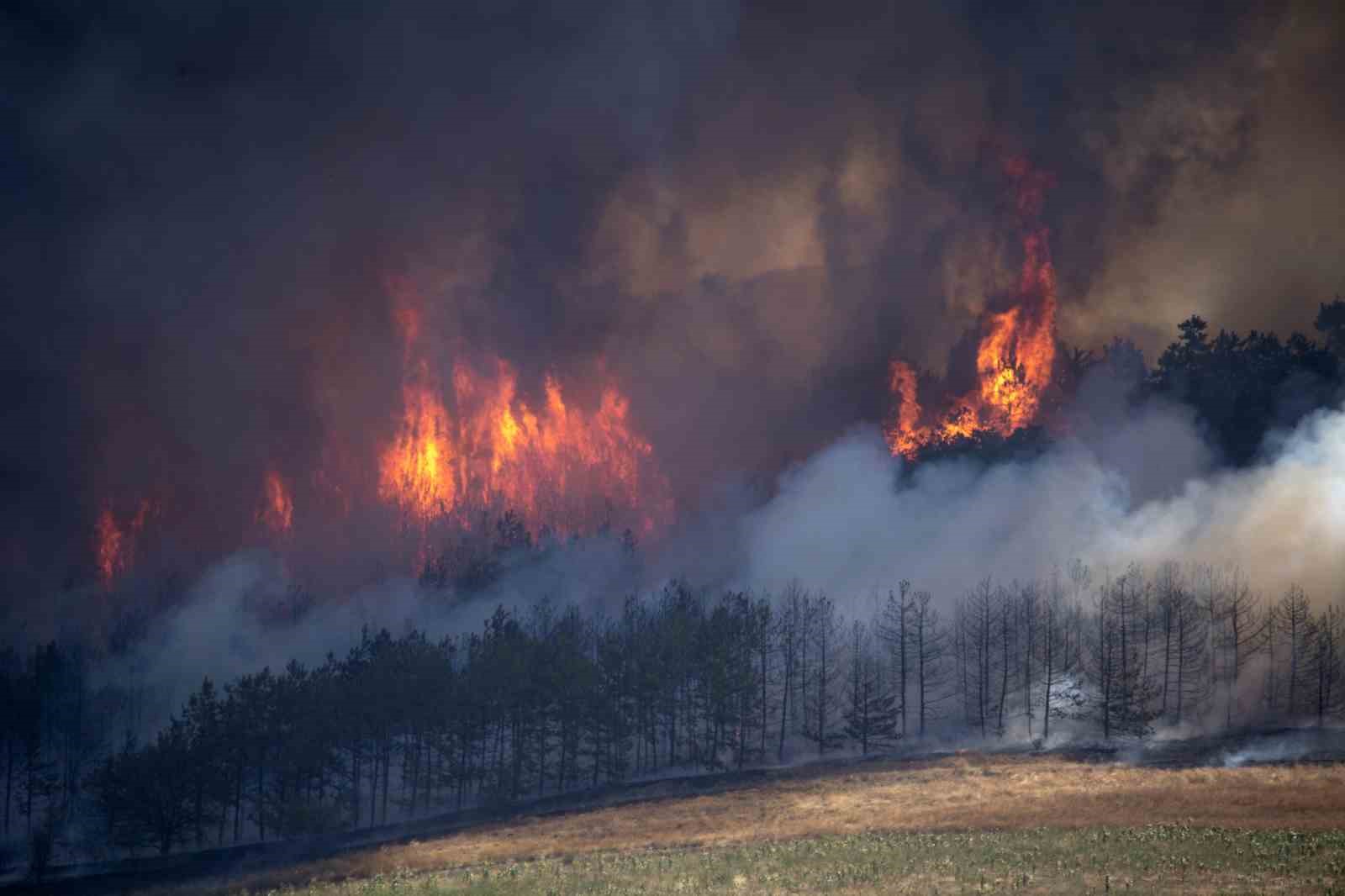 Kuzey Makedonya’da 40’tan fazla noktada orman yangını: 1 ölü
