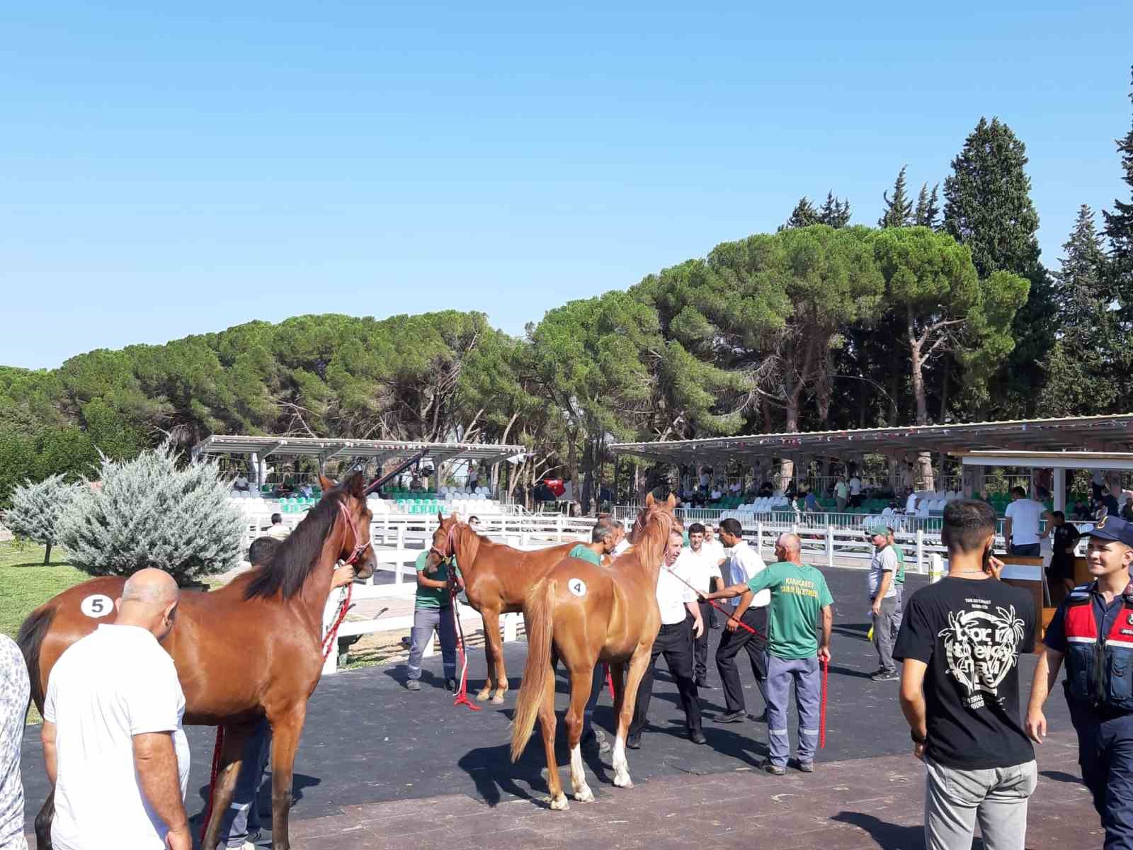 64 tayın satışından 26 milyon 640 bin TL gelir elde edildi
