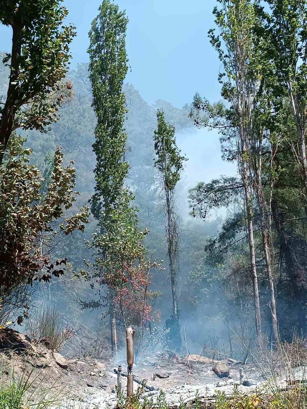 Kuyucak’taki orman yangınının sebebi belli oldu
