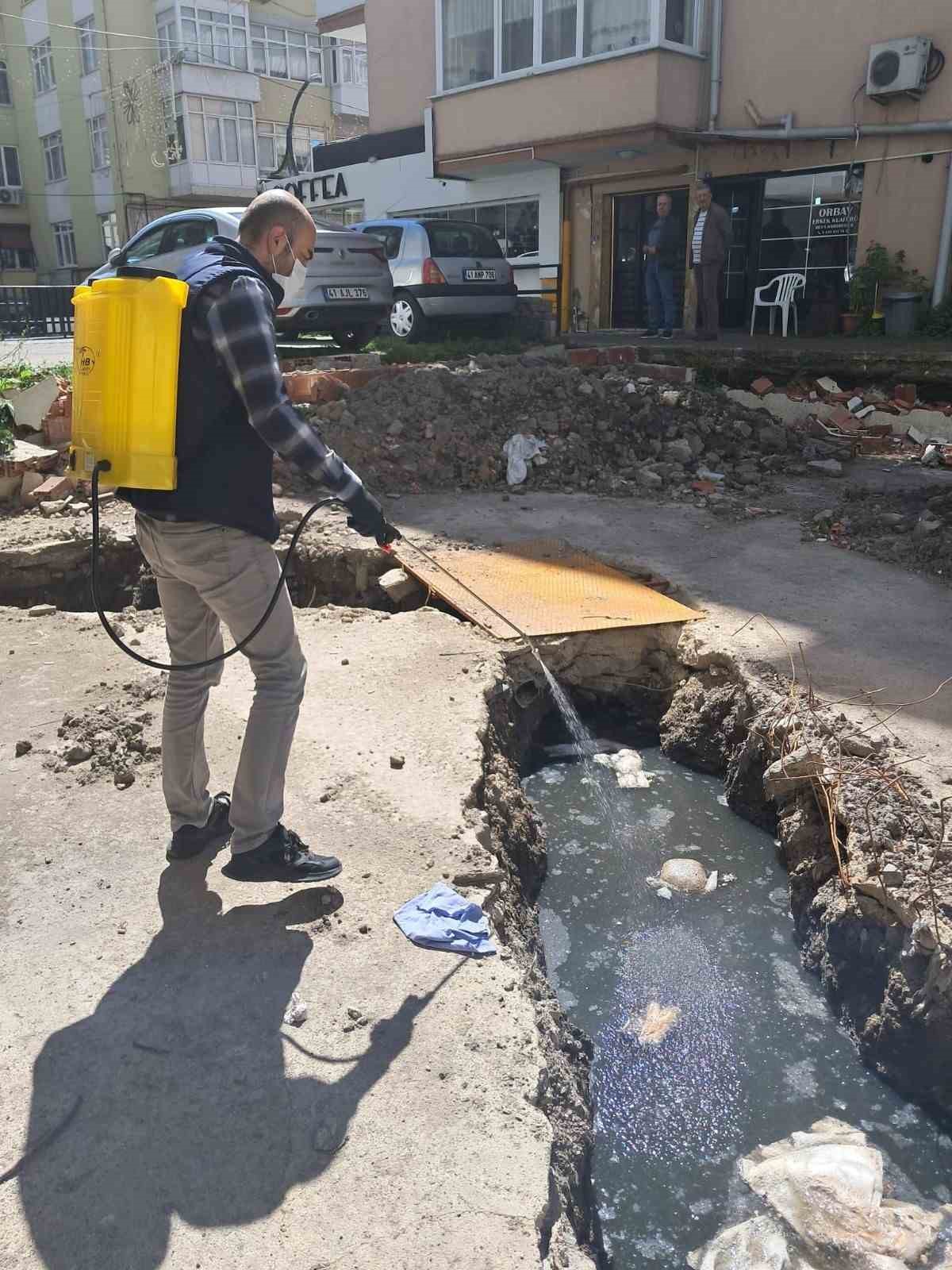 Yaz aylarında ilaçlama seferberliği
