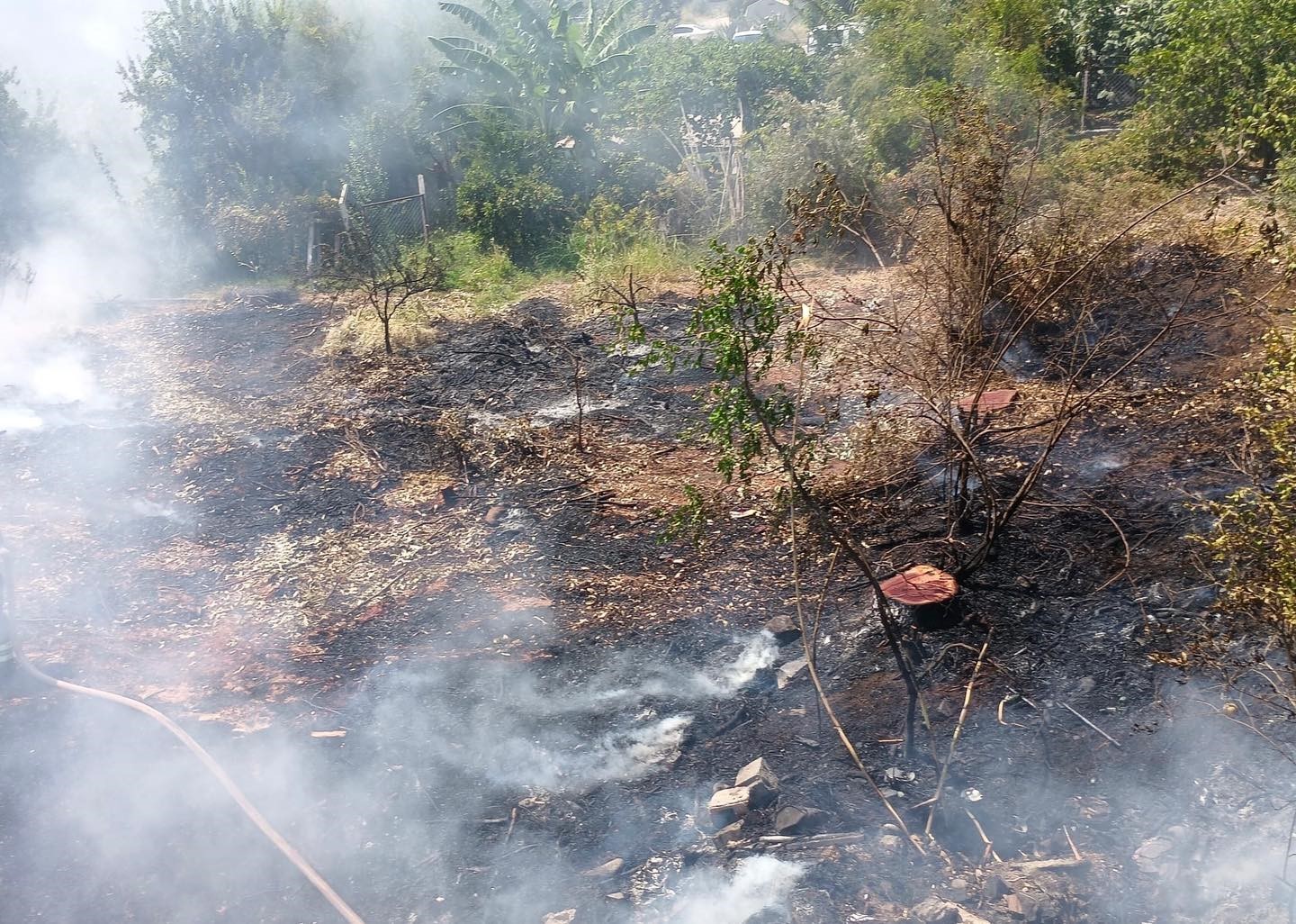 Bahçe yangını itfaiye ekipleri söndürdü
