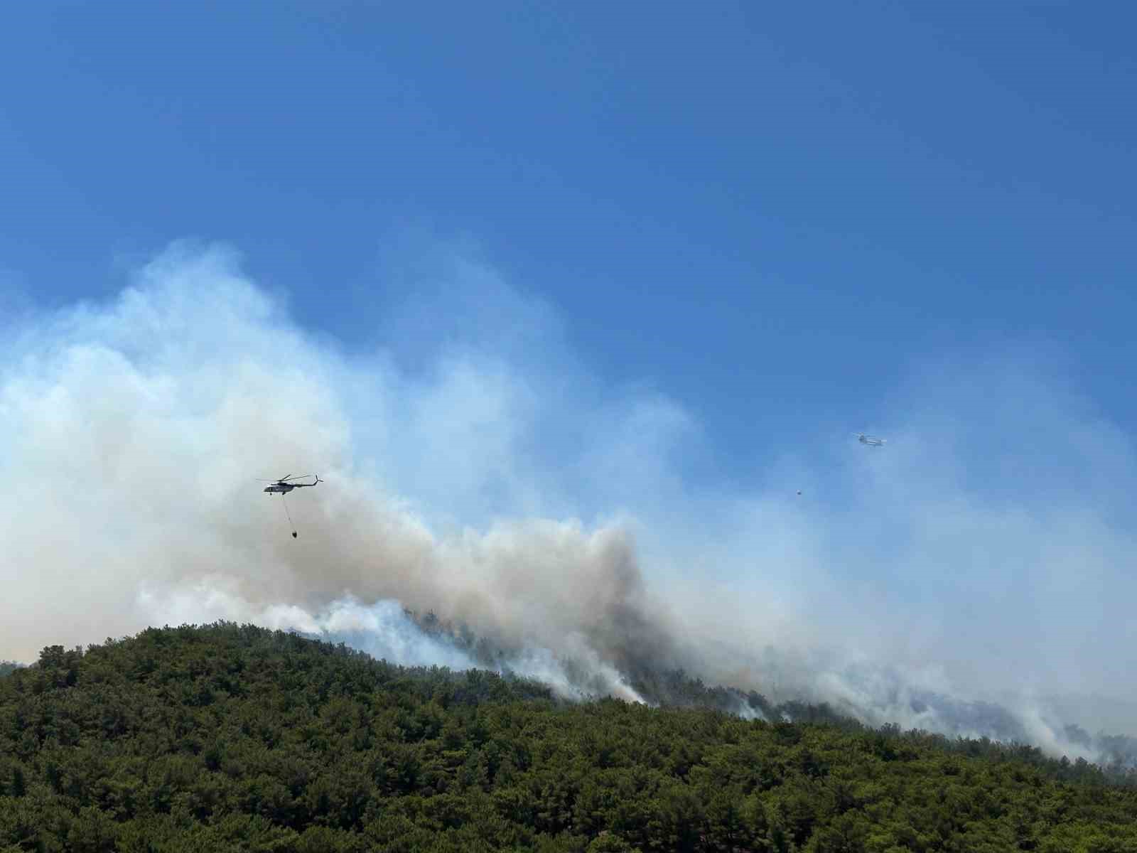 Urla’daki orman yangınında 120 konut tahliye edildi
