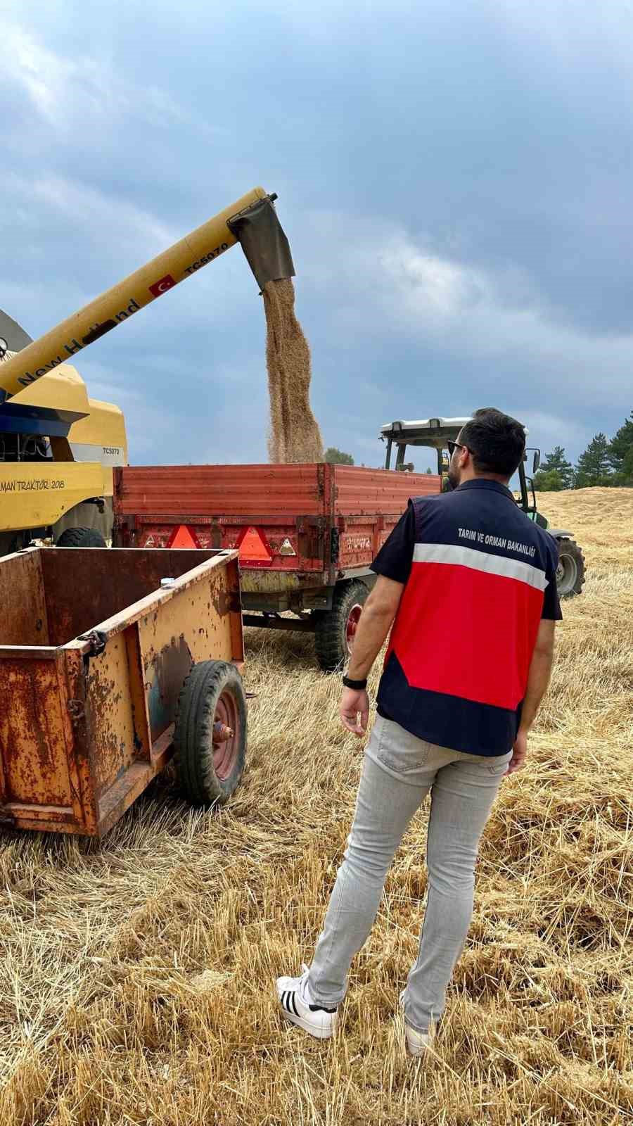 Gediz ve Emet ilçelerinde hasat dönemi denetimleri
