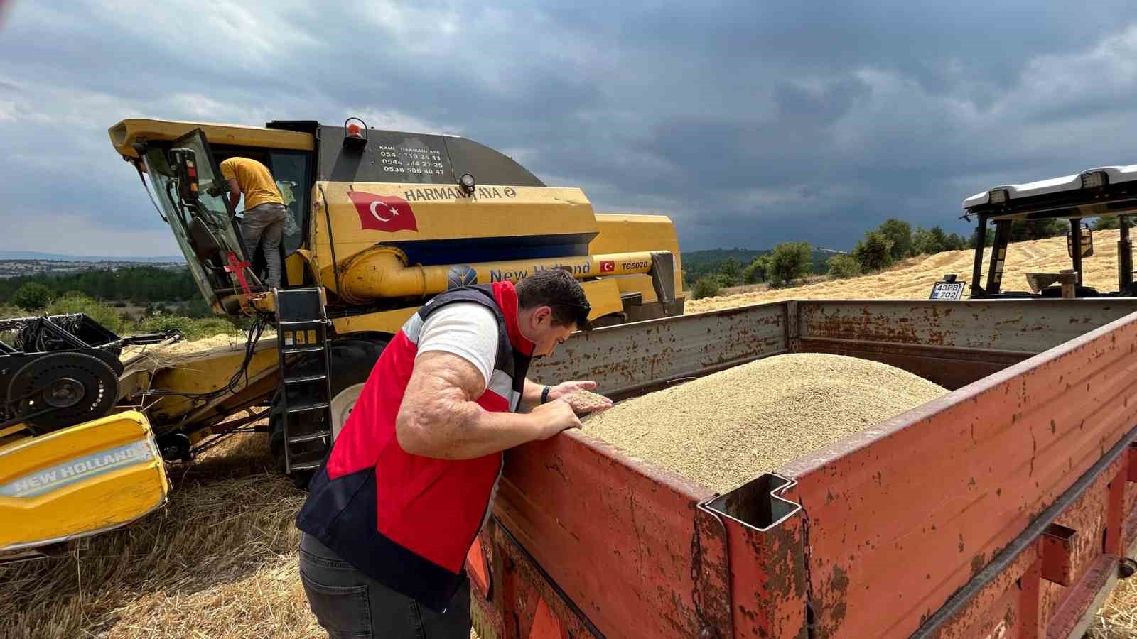 Gediz ve Emet ilçelerinde hasat dönemi denetimleri
