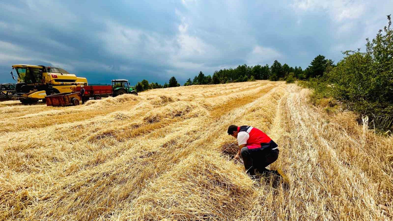 Gediz ve Emet ilçelerinde hasat dönemi denetimleri
