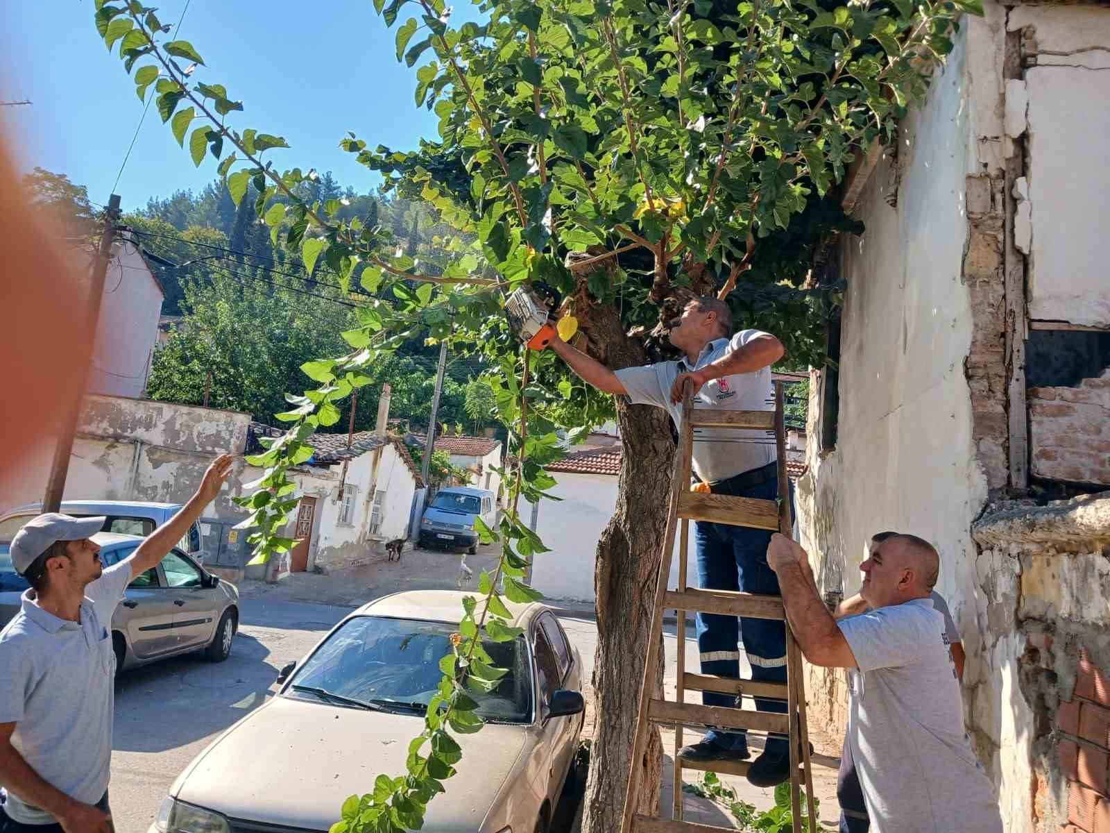 Daha yeşil bir Şehzadeler için ekiplerden yoğun mesai
