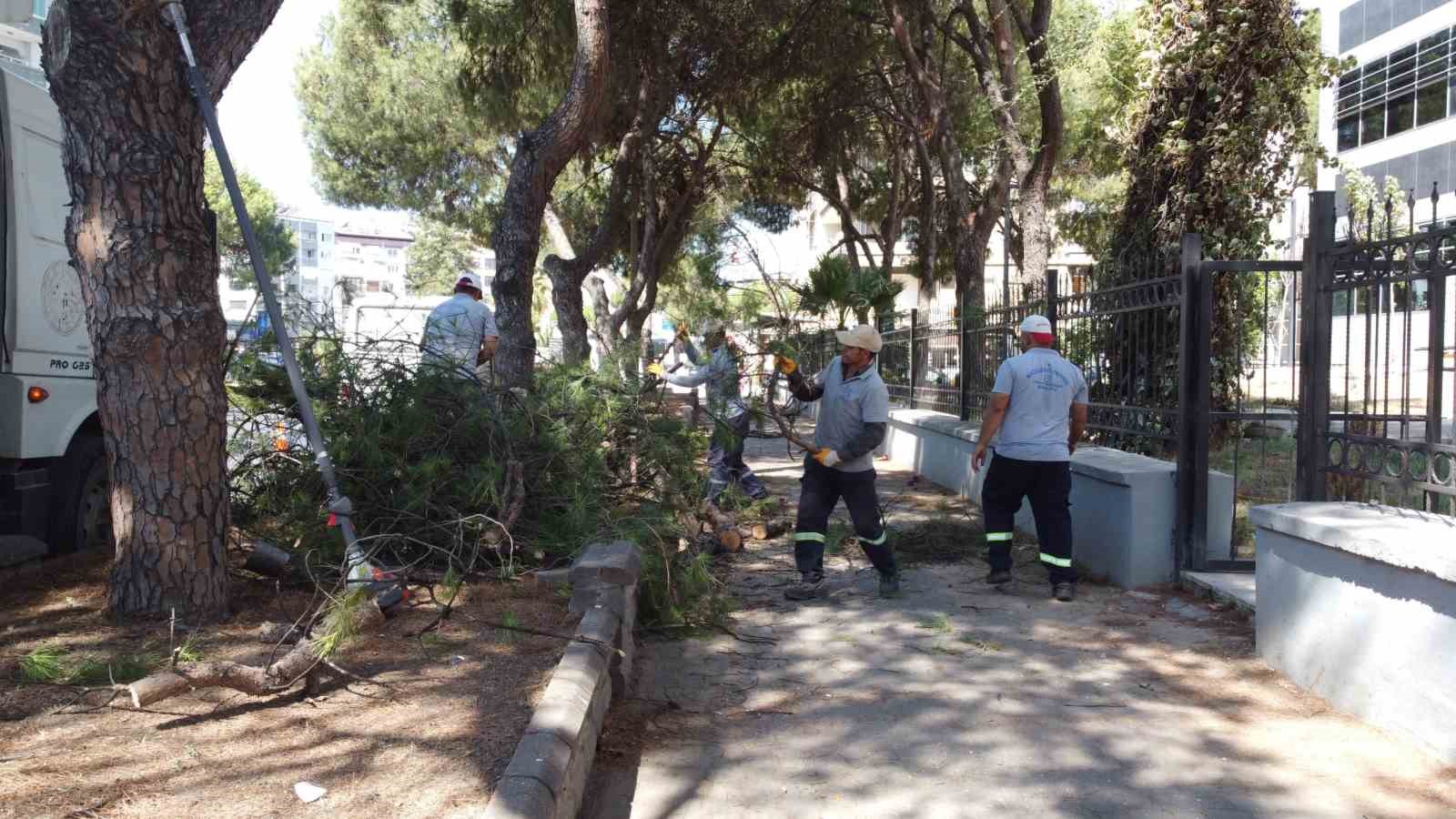 Vatandaşların, can ve mal güvenliği için tehlike arz eden ağaçlar budandı
