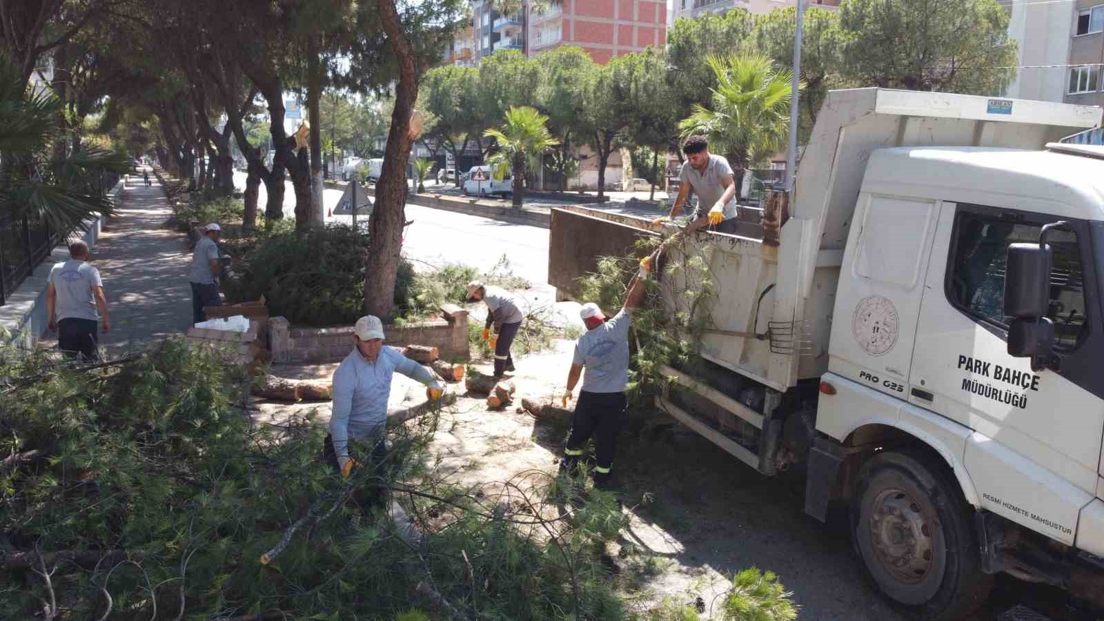 Vatandaşların, can ve mal güvenliği için tehlike arz eden ağaçlar budandı
