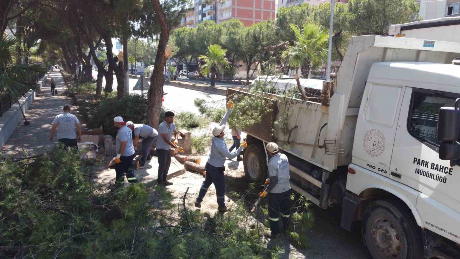 Vatandaşların, can ve mal güvenliği için tehlike arz eden ağaçlar budandı
