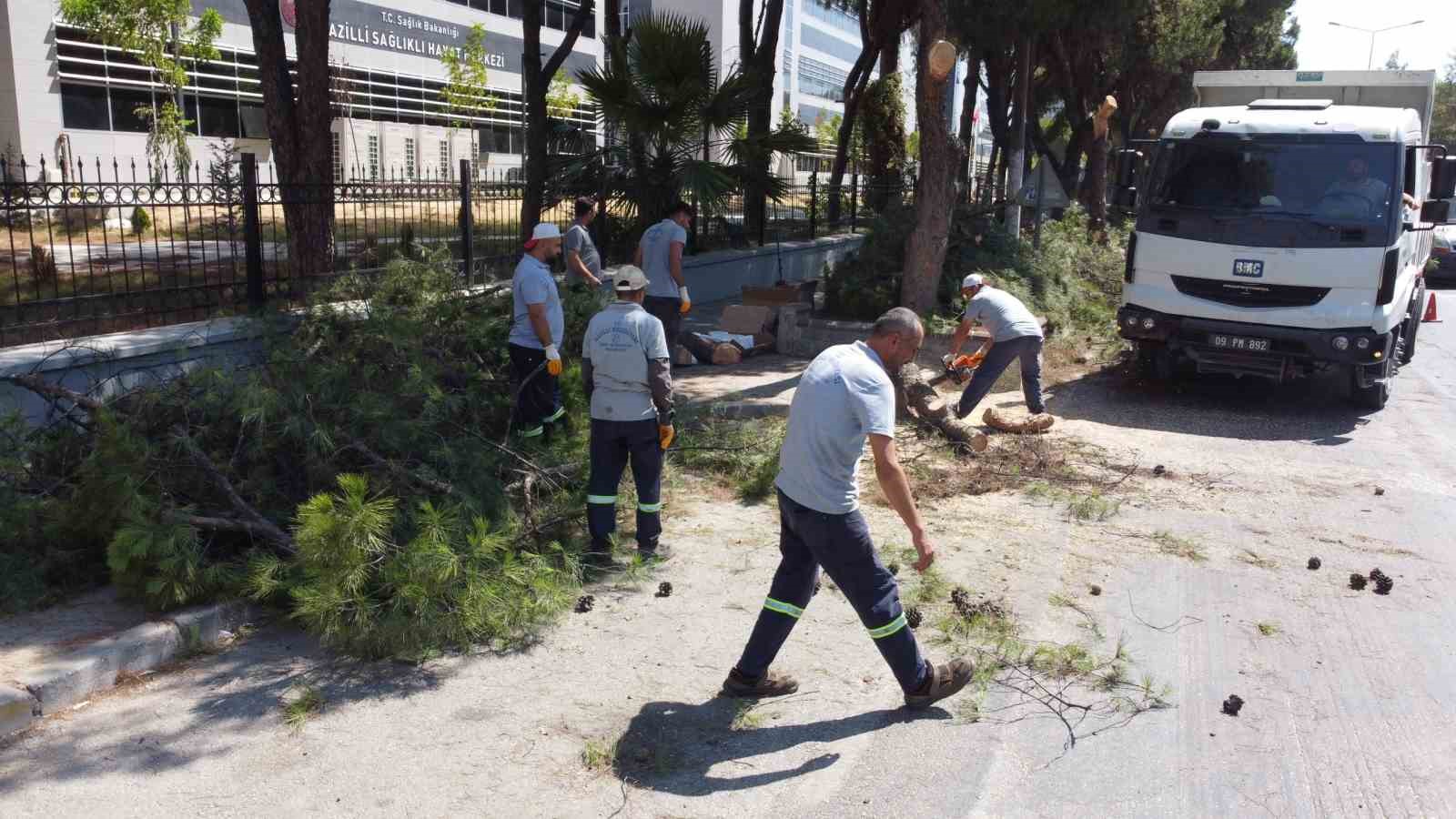 Vatandaşların, can ve mal güvenliği için tehlike arz eden ağaçlar budandı
