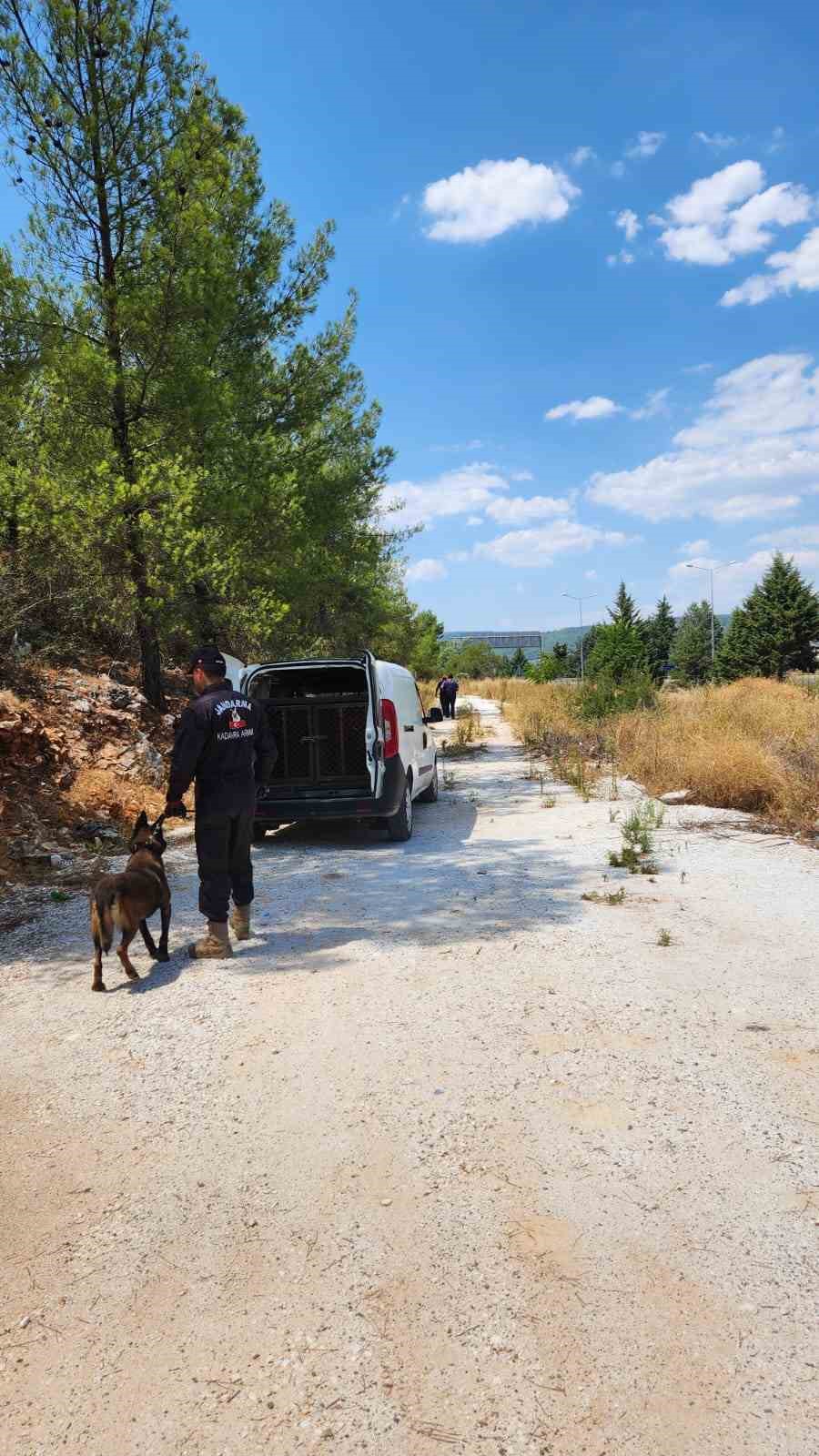 Kaybolan alzheimer hastası kadını arama çalışmaları devam ediyor
