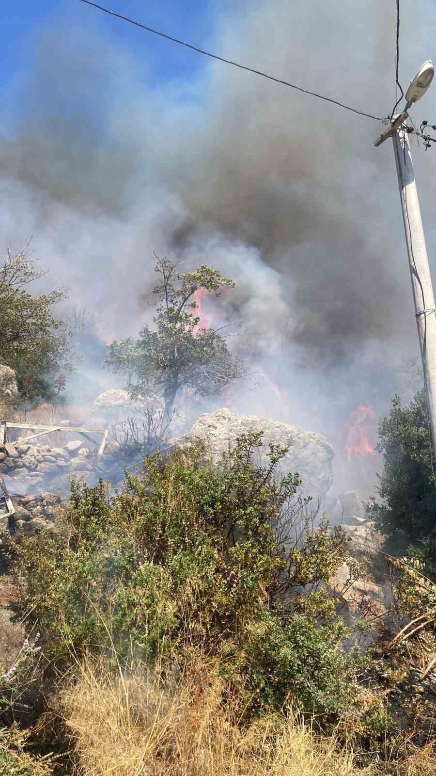 Bodrum’da makilik yangını
