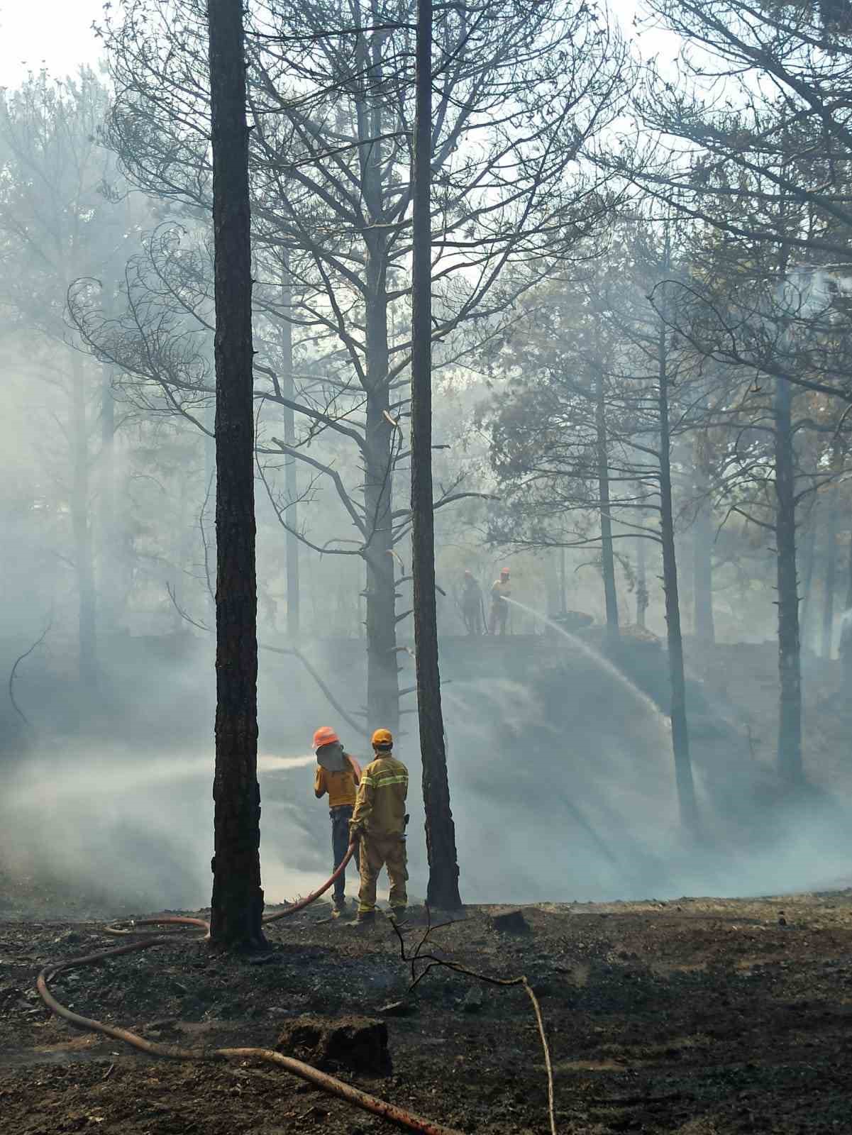 Çine’deki orman yangınını söndürme çalışmaları devam ediyor
