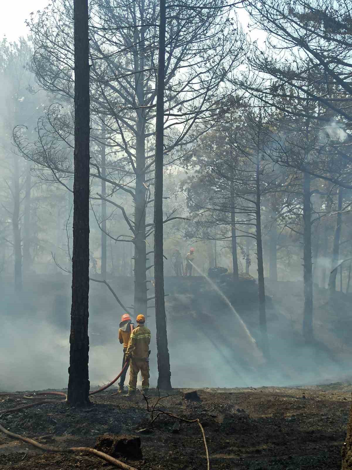 Çine’deki orman yangınını söndürme çalışmaları devam ediyor
