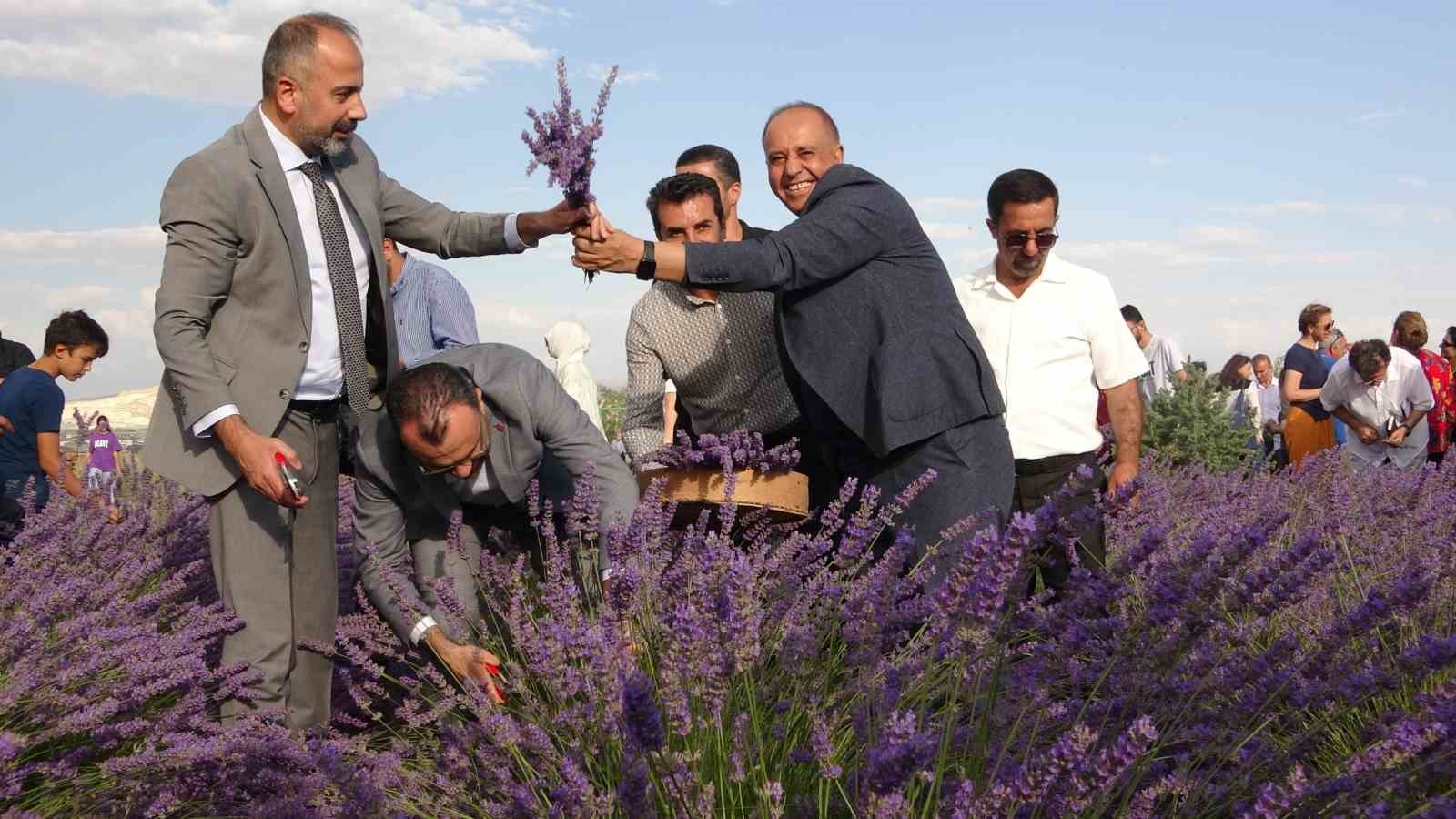 Van’da rengarenk tıbbi bitkilerin hasadı yapıldı
