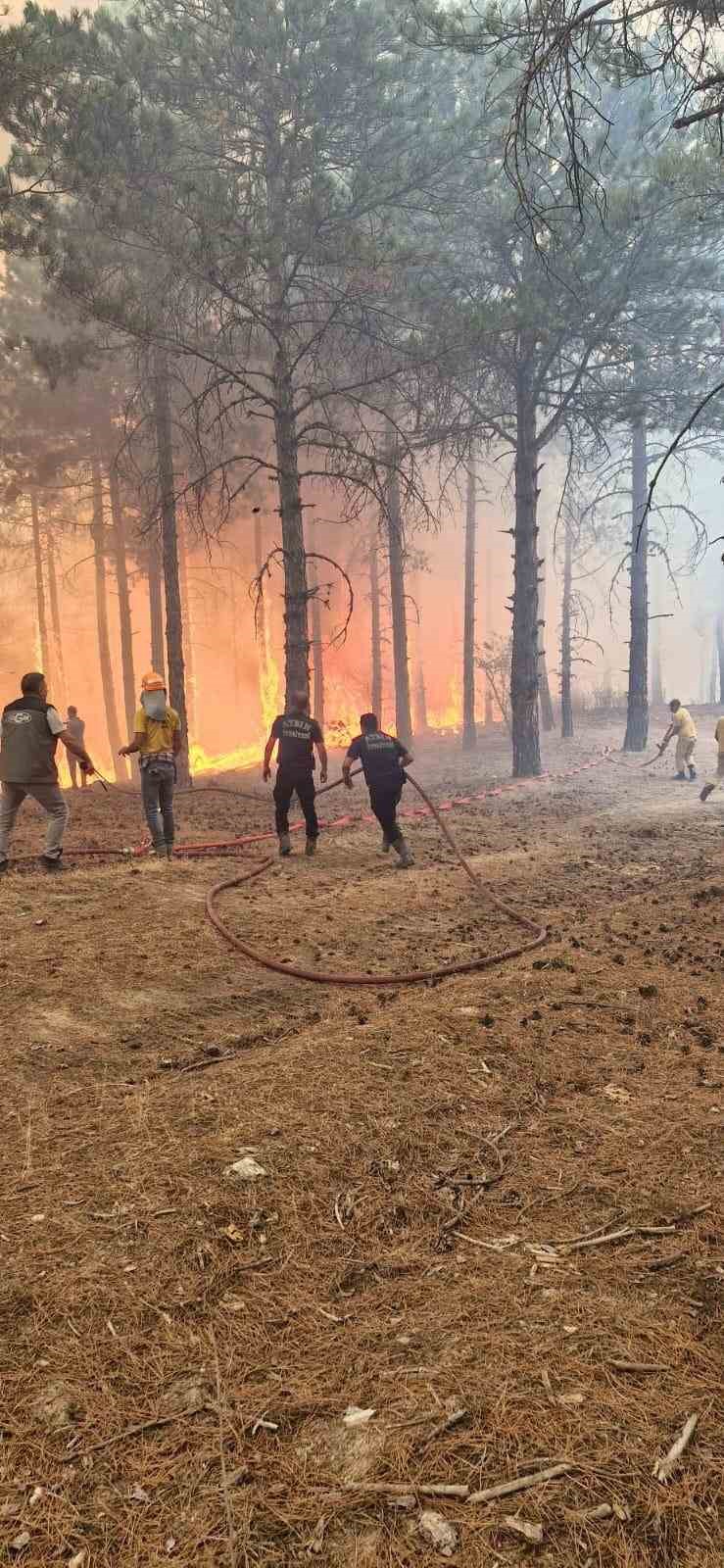 Büyükşehir Belediyesi yangınlara anında müdahale etti
