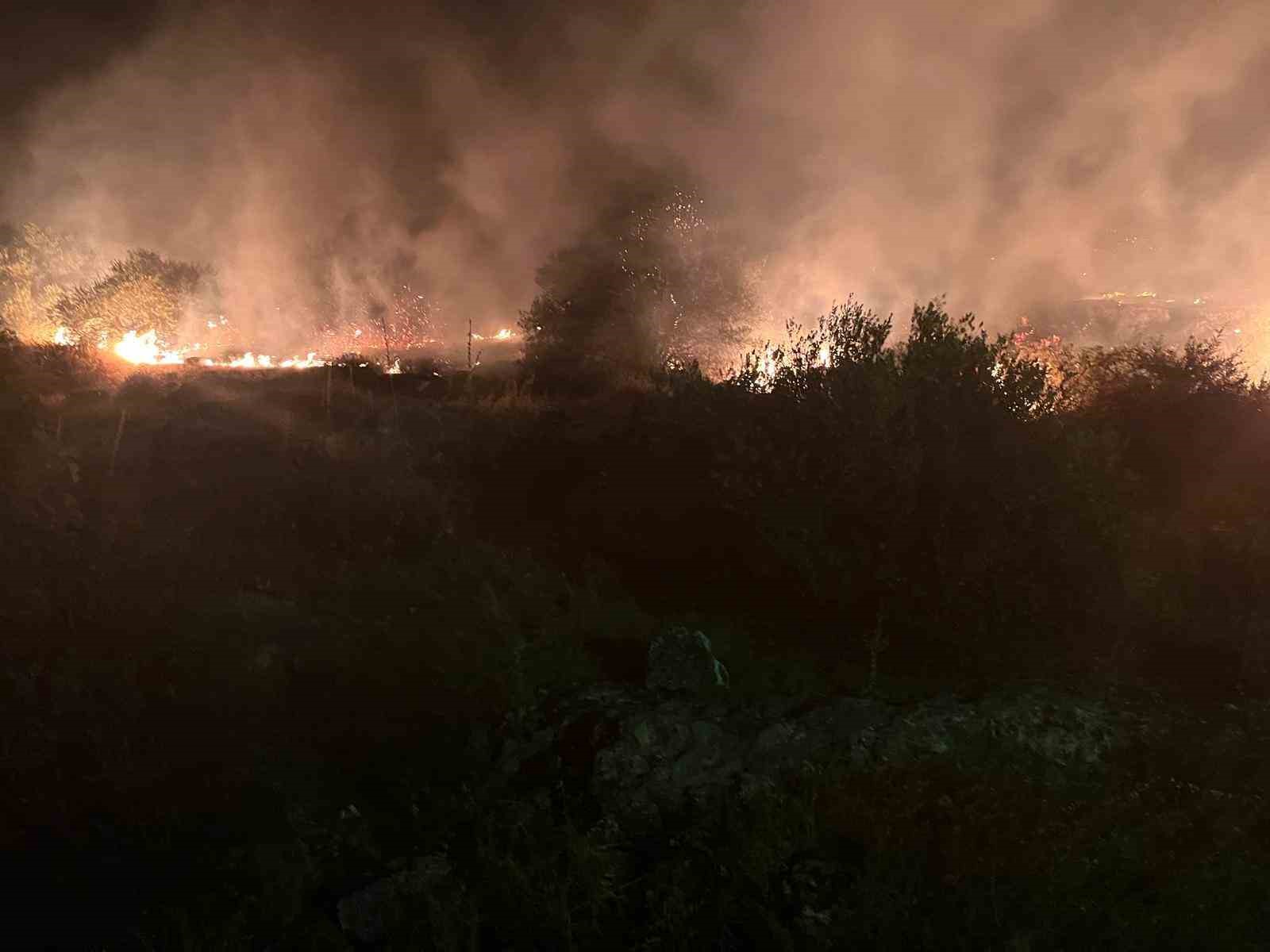 Manisa’da ağaçlık alanda yangın
