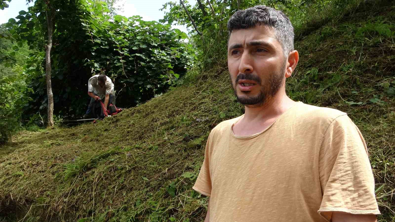 Giresun’da fındık üreticilerinin yaklaşan hasat öncesi bahçe temizliği mesaisi başladı
