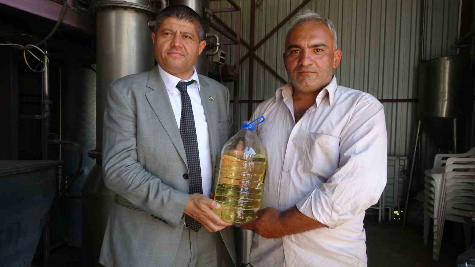 Lavantada hasat başladı: 60 kilosundan 1 kilo çıkıyor, 600 TL’ye satılıyor
