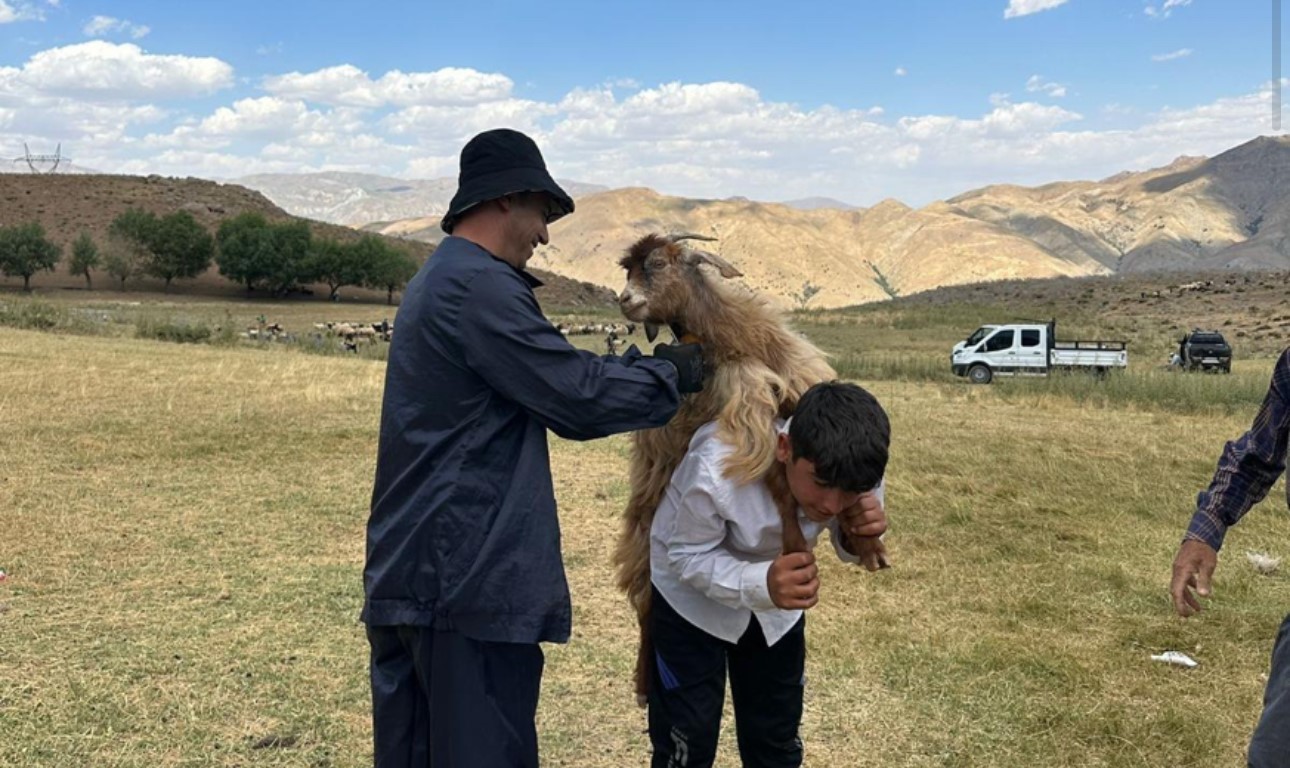 Yüksekova’da küpeleme ve aşılama çalışması sürüyor
