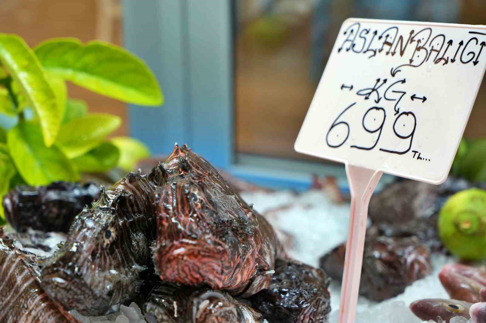 Dikenlerinden eldiven ve makasla ayrılıyor kilogramı 699 liradan restoranlarda servis ediliyor
