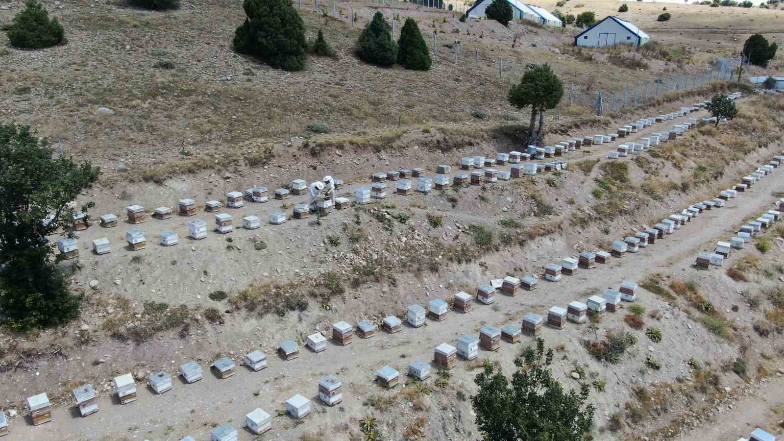 Binbir zahmetle üretiliyor, 100 gramı 2 bin 500 liradan alıcı buluyor
