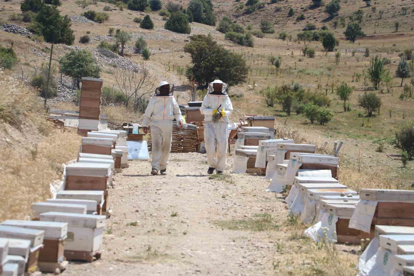 Binbir zahmetle üretiliyor, 100 gramı 2 bin 500 liradan alıcı buluyor
