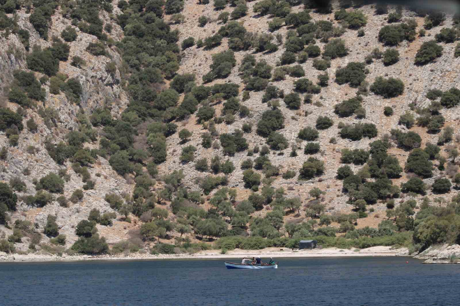 Aydın jandarması biyokaçakçılara göz açtırmıyor
