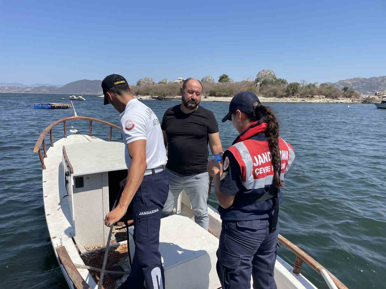 Aydın jandarması biyokaçakçılara göz açtırmıyor
