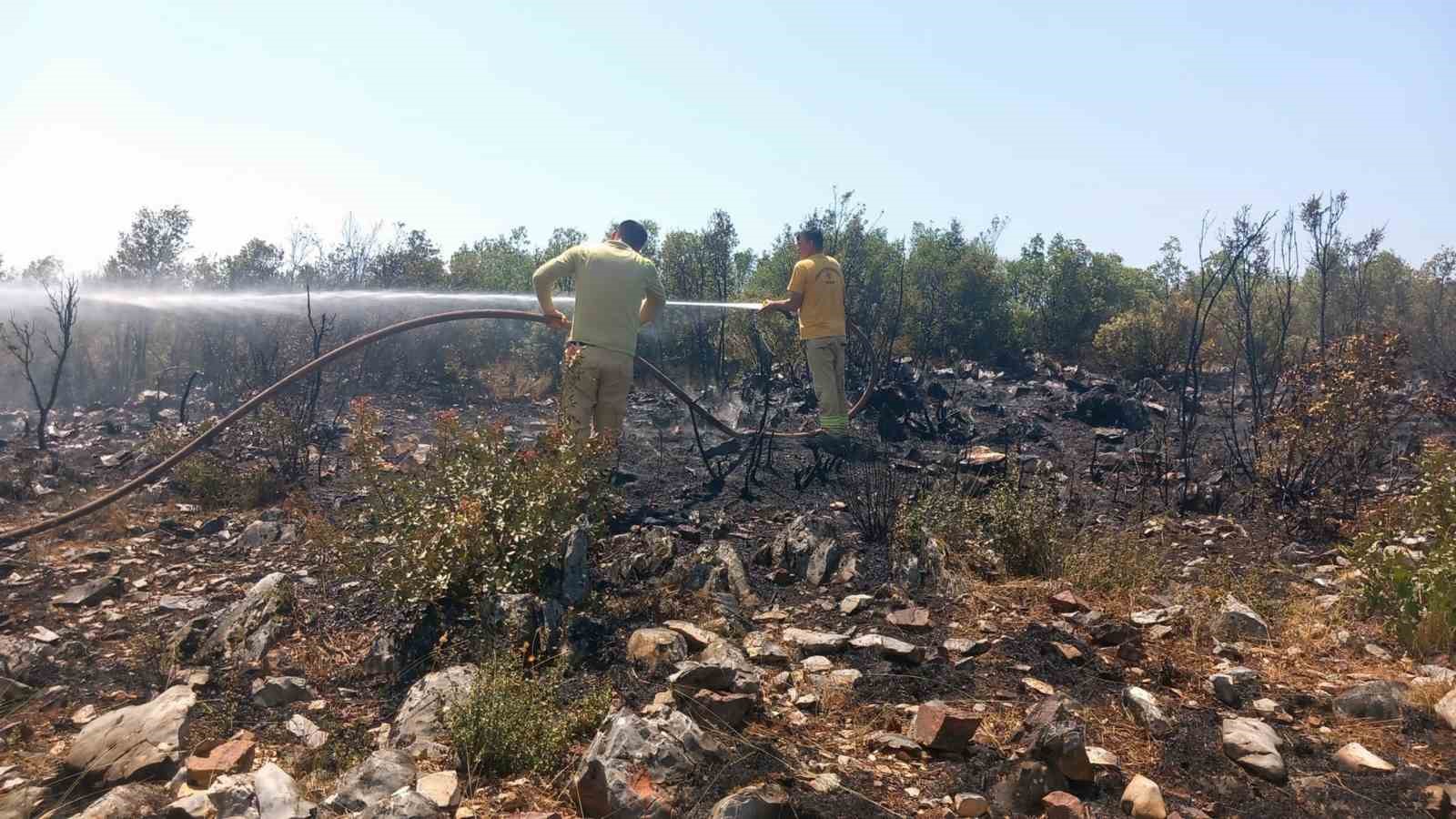 Menteşe’de çalılık yangını
