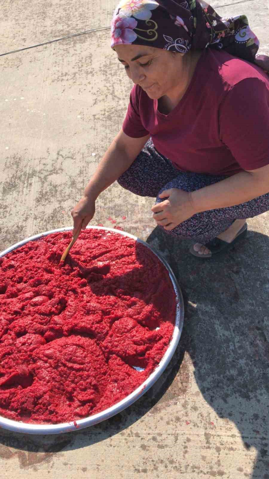 Kadınlar salça yapımına başladı
