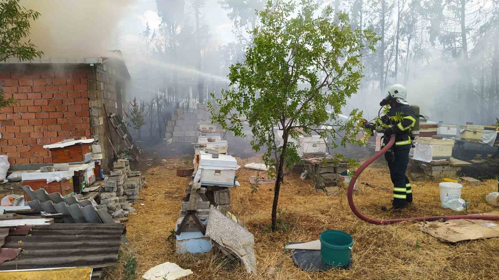 Kırklareli’nde yangından arılar da etkilendi
