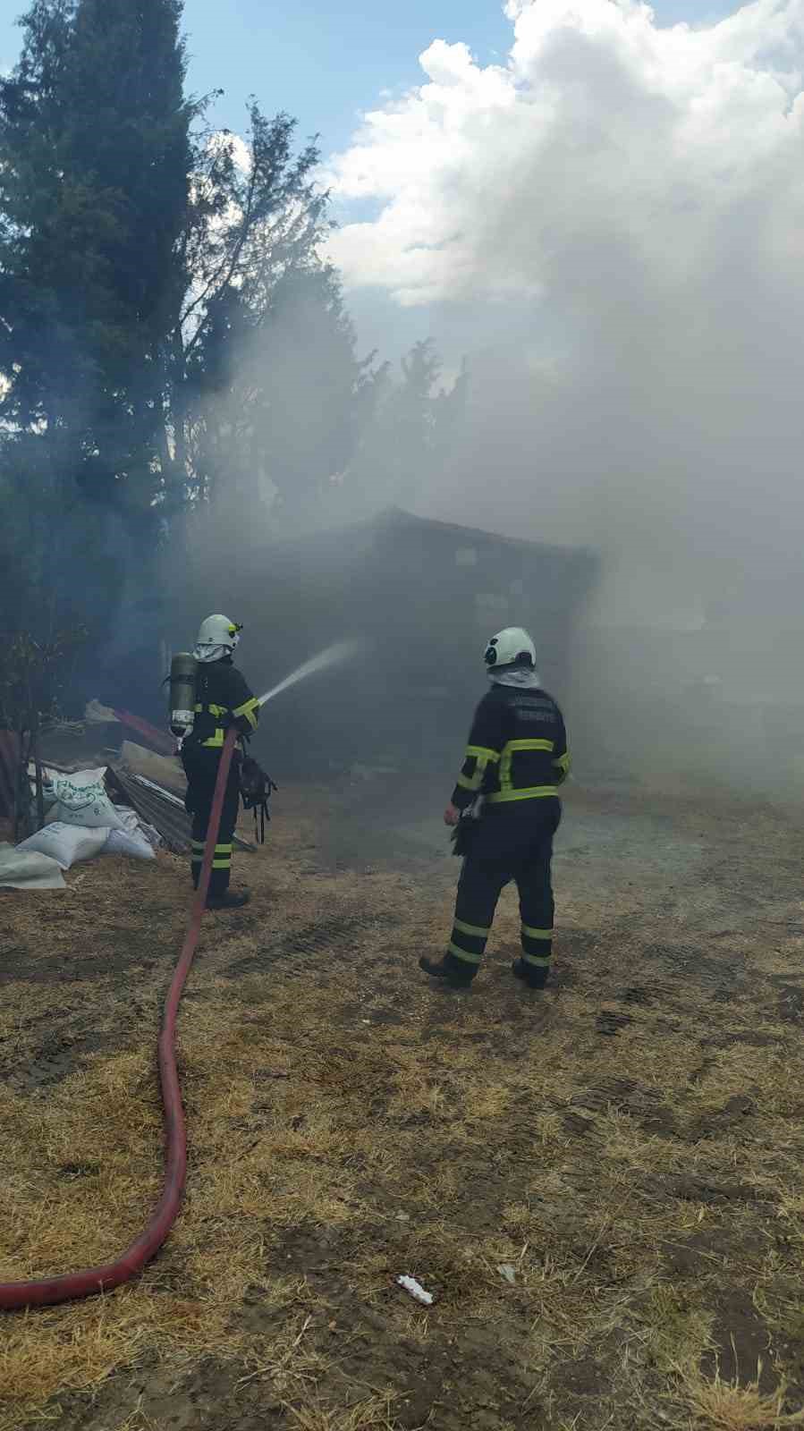 Kırklareli’nde yangından arılar da etkilendi
