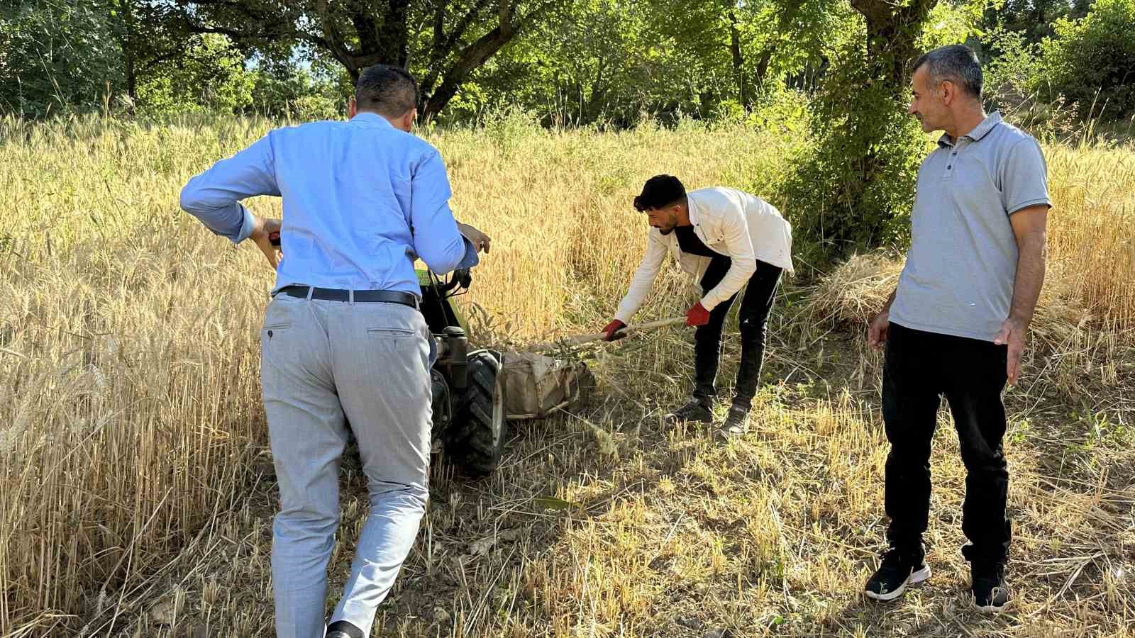 Yüksekova’da buğdayda yüksek verim
