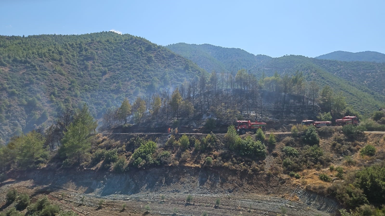 Hatay’da çıkan orman yangını kontrol altına alındı
