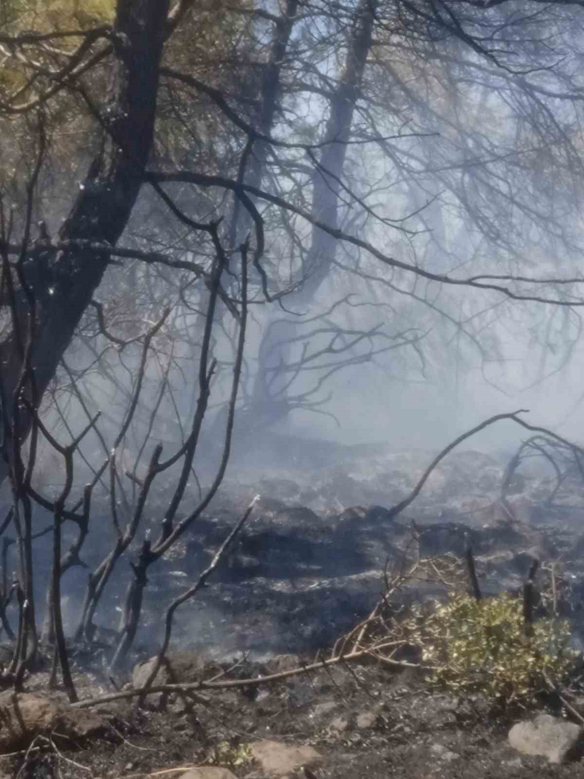 Hatay’da çıkan orman yangını kontrol altına alındı
