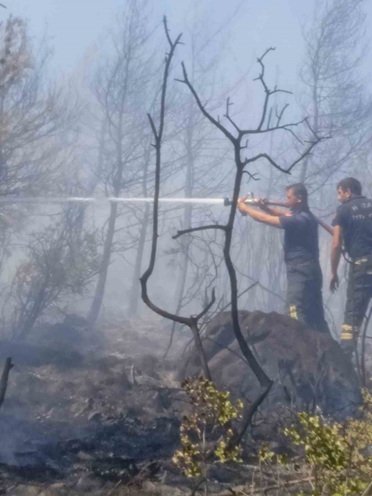 Hatay’da çıkan orman yangını kontrol altına alındı
