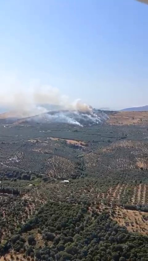 Erdek’te orman yangını, havadan ve karadan müdahale ediliyor
